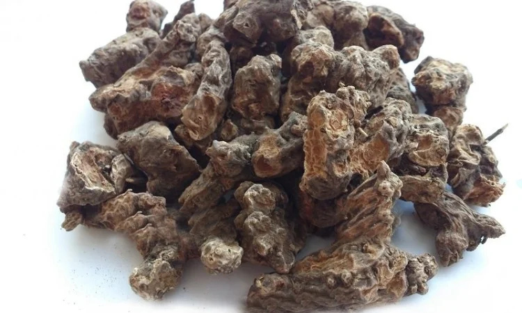 Калган корень(Лапчатка), 1кг - фото № 1