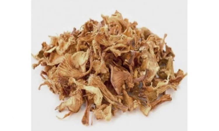 Лисичка гриб сушенный, 1кг - фото № 1