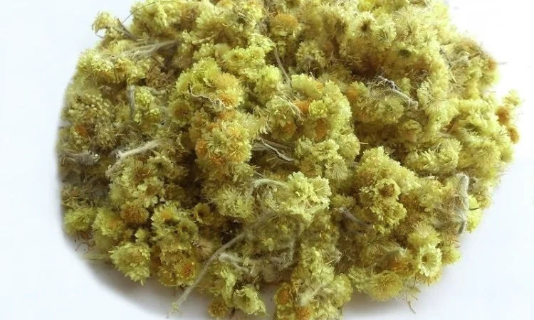 Бессмертник (цветы) 1кг - фото № 1