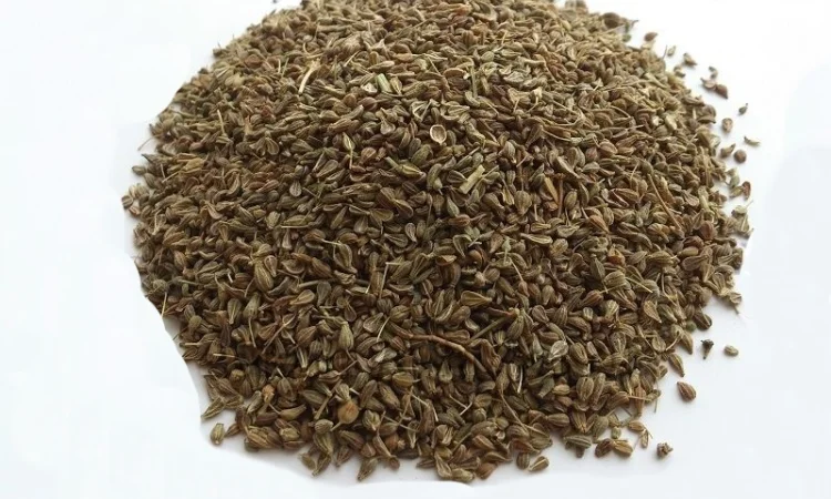 Анис обыкновенный (плоды) 1кг - фото № 1