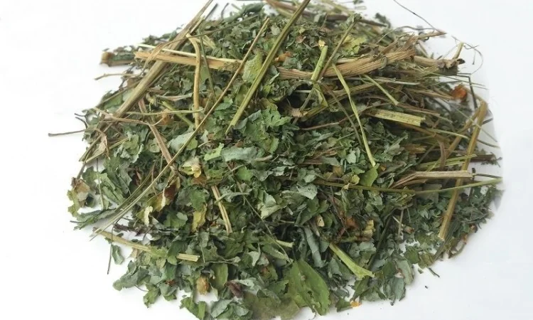 Чистотел (трава) 1 кг - фото № 1