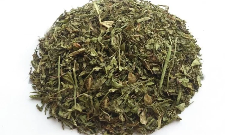 Пастушья сумка (трава) 1кг - фото № 1