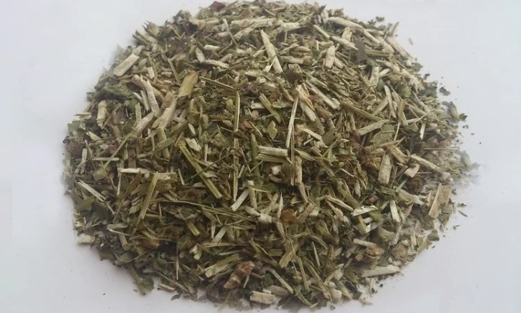 Буквица (трава) 1 кг - фото № 1