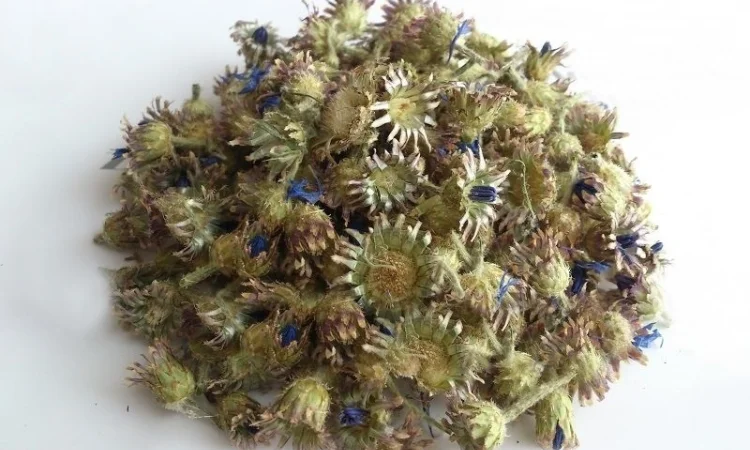 Василек ( Волошка) (цвет) 1кг - фото № 1