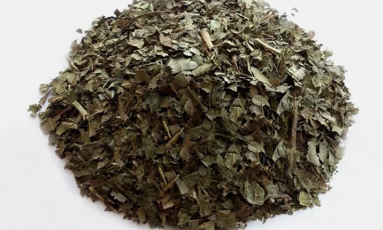 Грецкий орех (листья) 1кг - фото № 1