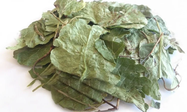 Грушанка (лист) 1кг - фото № 1