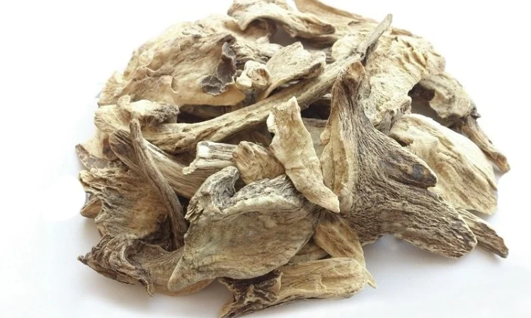 Девясил (Оман) (корневище) 1кг - фото № 1