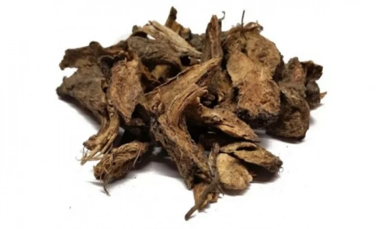 Дягиль корень, 1кг - фото № 1