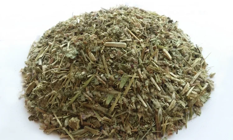 Зопник колючий (железняк) (трава) 1 кг - фото № 1