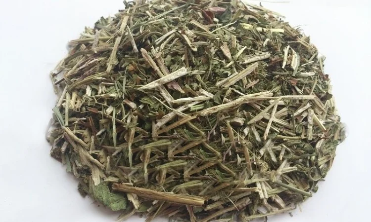 Зюзник европейский (трава) 1 кг - фото № 1