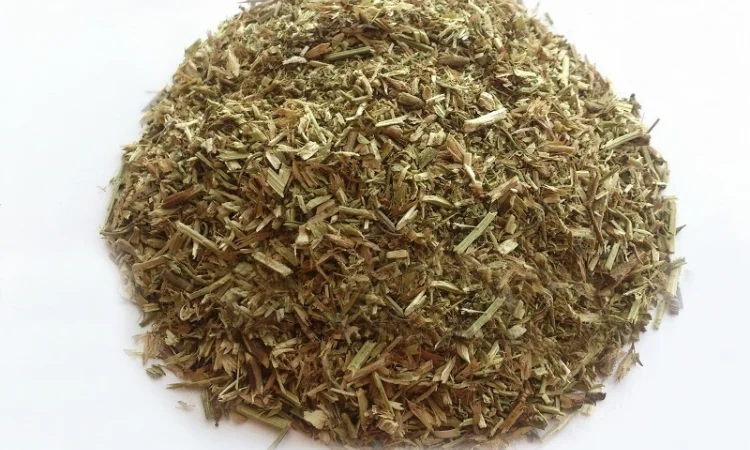 Иссоп лекарственный (трава) 1кг - фото № 1