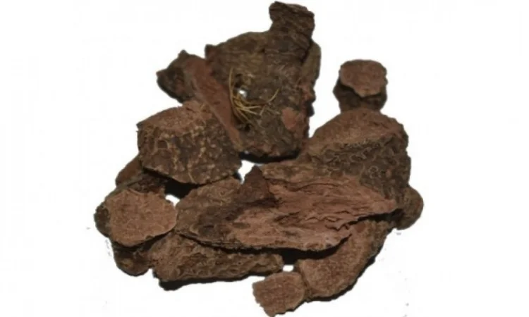 Касатик корень, 1кг - фото № 1