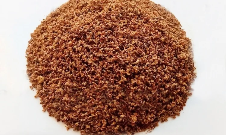 Каштан (цветы) 1 кг - фото № 1