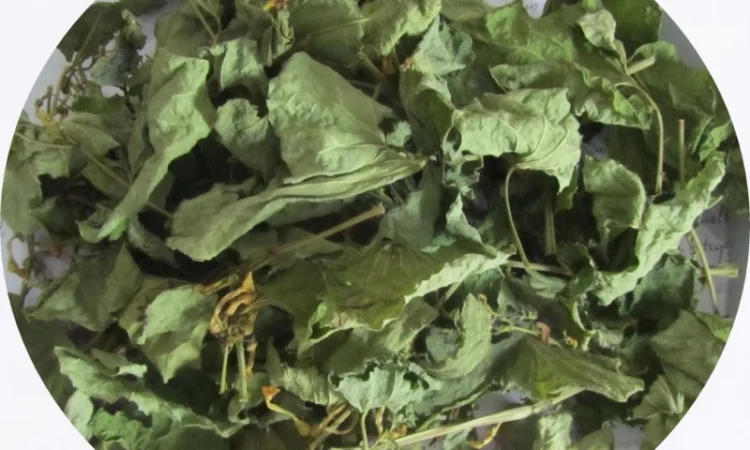 Кирказон (трава) 1 кг - фото № 1