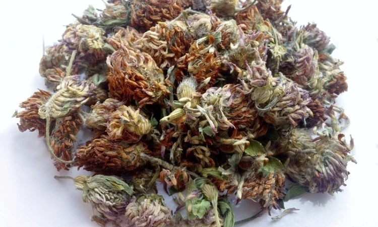 Клевер (цветы и трава) 1 кг - фото № 2