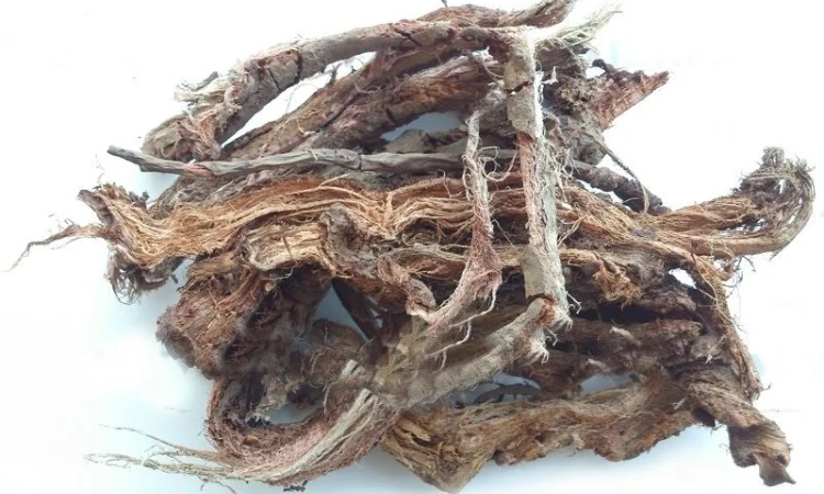 Красный корень 1 кг - фото № 1