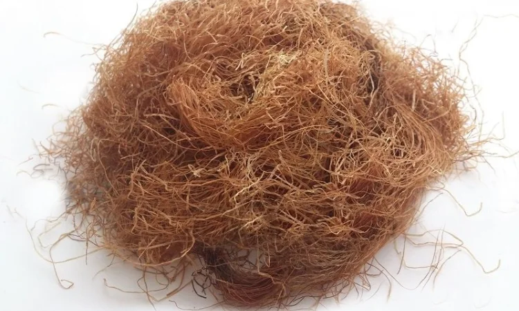 Кукурузные рыльца 1кг - фото № 1