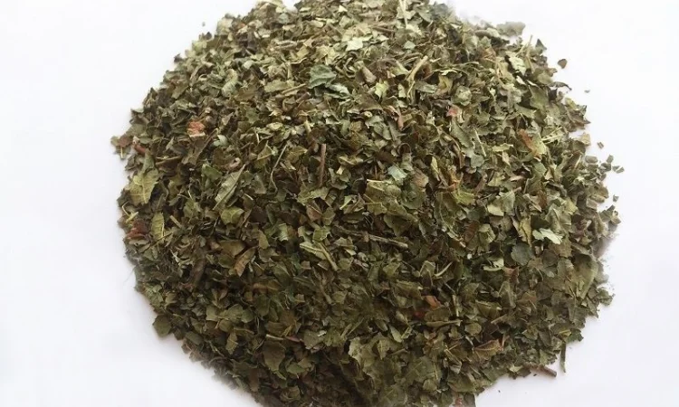 Лещина обыкновенная (листья) 1 кг - фото № 1