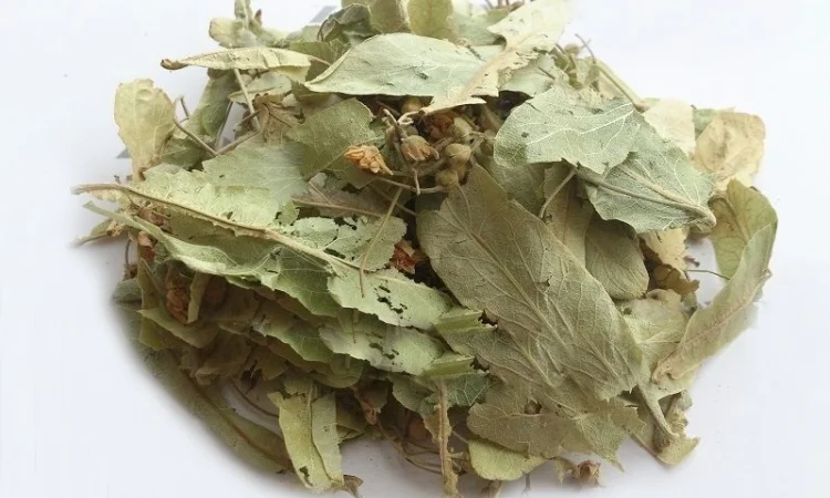 Липа (цветы) 1 кг - фото № 1