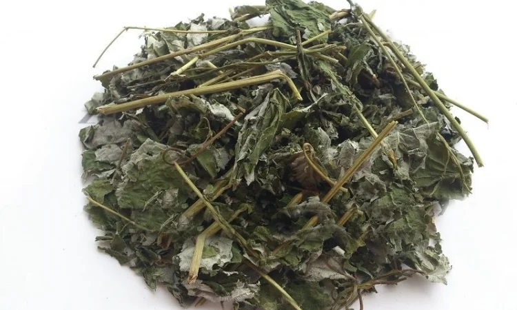 Малина (лист) 1кг - фото № 1