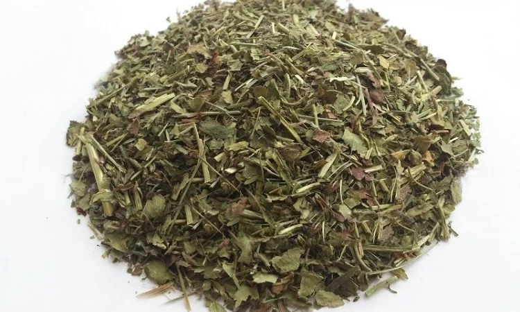 Манжетка (трава) 1кг - фото № 1