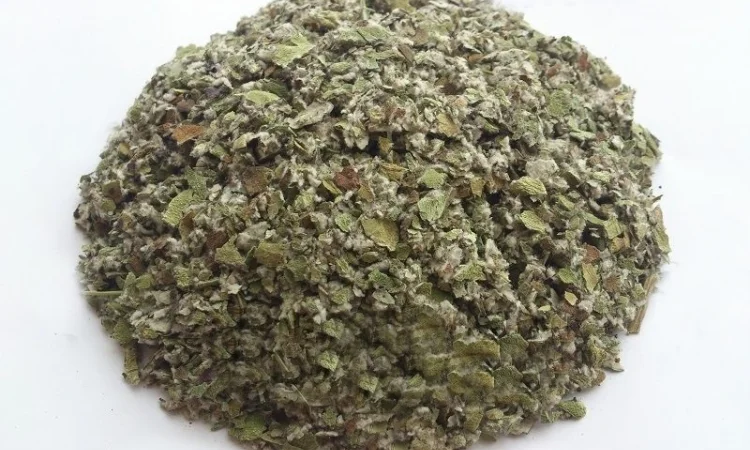 Мать-и-мачеха (трава) 1кг - фото № 1