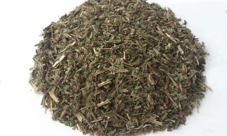 Мелисса (трава) 1кг - фото № 1