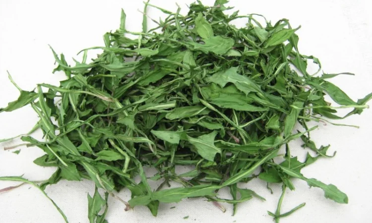 Одуванчик (трава) 1 кг - фото № 1