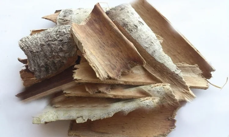 Осина обыкновенная (кора) 1 кг - фото № 1