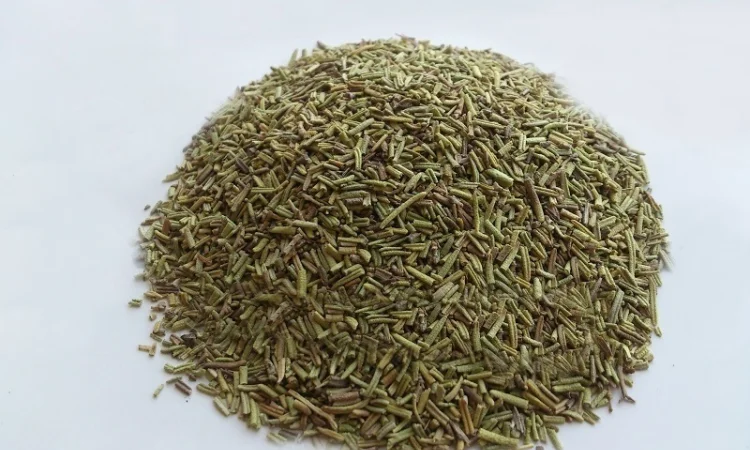 Розмарин крымский (лист) 1 кг - фото № 1