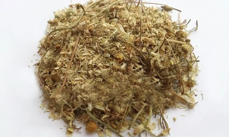 Ромашка (цветы) 1кг - фото № 1