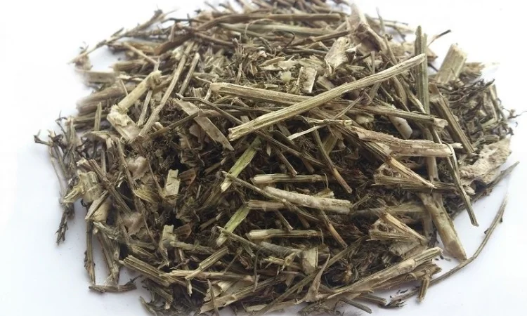 Солянка холмовая (трава) 1 кг - фото № 1