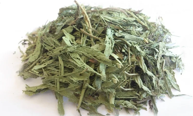 Стевия медовая (трава) 1кг - фото № 1