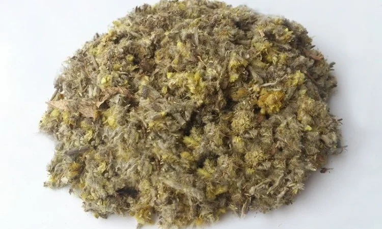 Сухоцвет болотный (трава) 1 кг - фото № 1