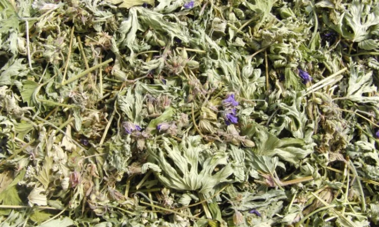 Трава герани луговой 1 кг - фото № 1