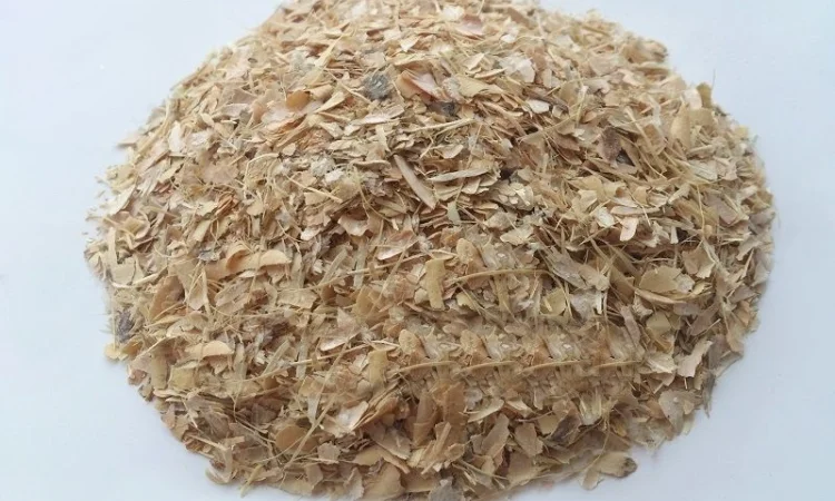 Фасоль створки, 1кг - фото № 1