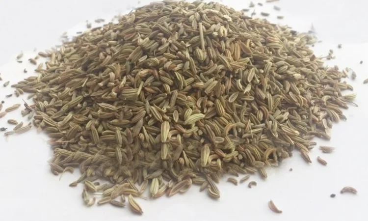 Фенхель обыкновенный (плоды) 1кг - фото № 1