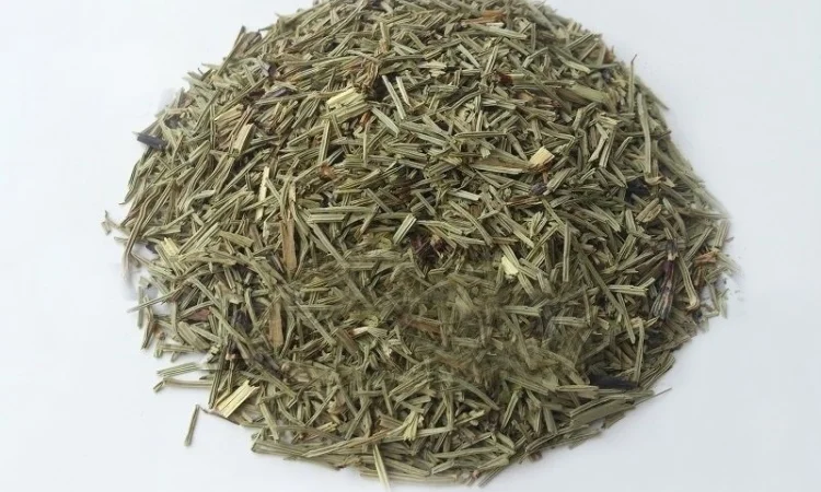 Хвощ полевой (трава) 1кг - фото № 1