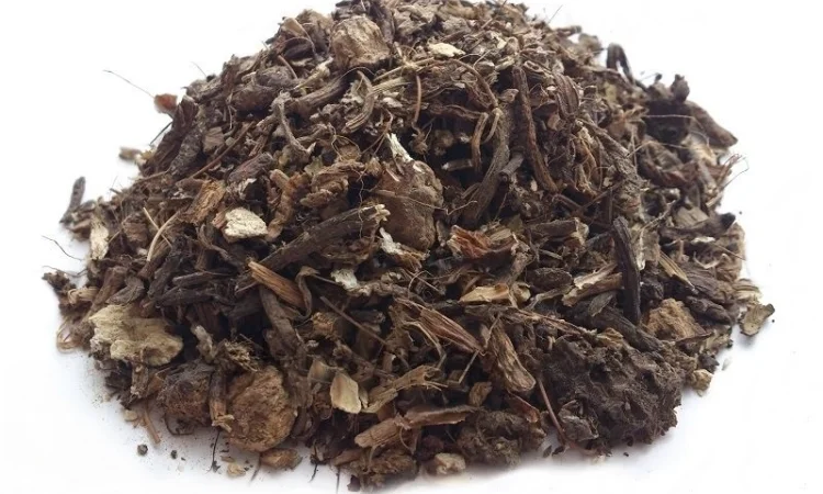 Чемерица (корень) 1кг - фото № 1