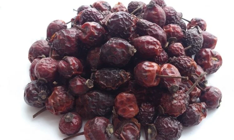 Шиповник (плоды) 1кг - фото № 1