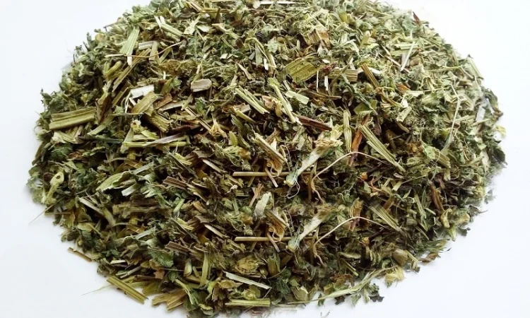 Яснотка белая (трава) 1 кг - фото № 1