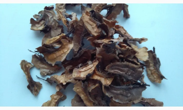 Продам перетинки горіха 100 грн. кг - фото № 1