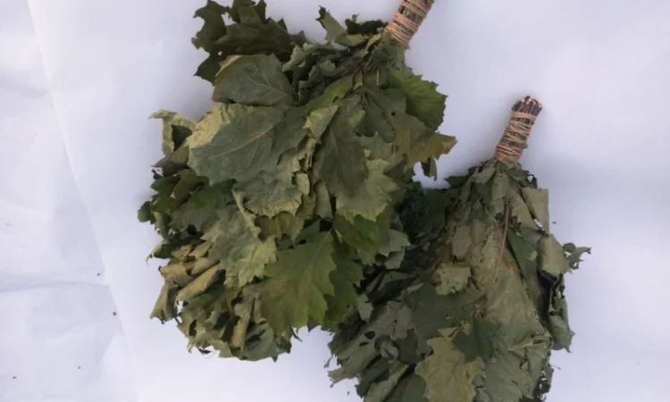 Віники для бані, Дуб Береза Липа Євкаліпт Трави - фото № 1