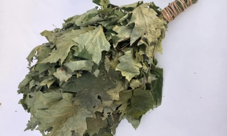 Віники для бані, Дуб Береза Липа Євкаліпт Трави - фото № 2