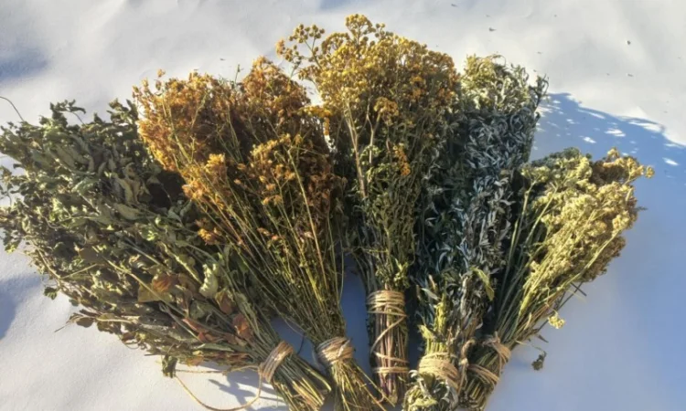 Віники для бані, Дуб Береза Липа Євкаліпт Трави - фото № 4