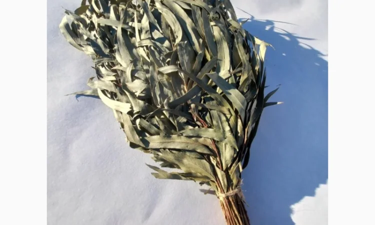 Віники для бані, Дуб Береза Липа Євкаліпт Трави - фото № 7