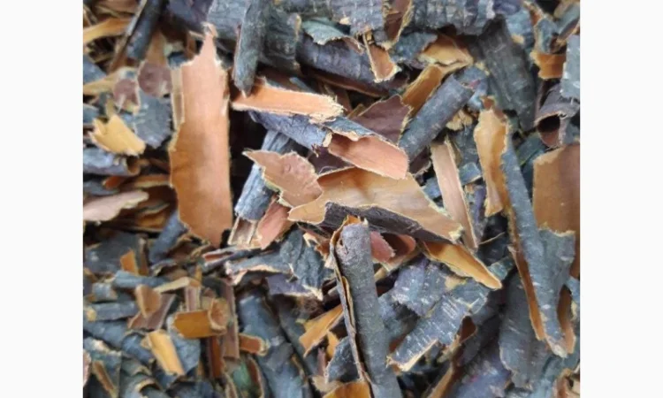 Куплю рослинну сировину - фото № 4