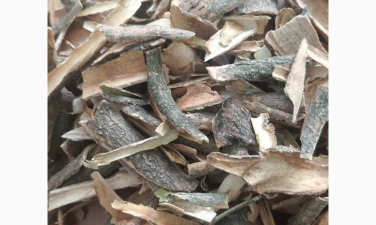 Куплю кору - фото № 1