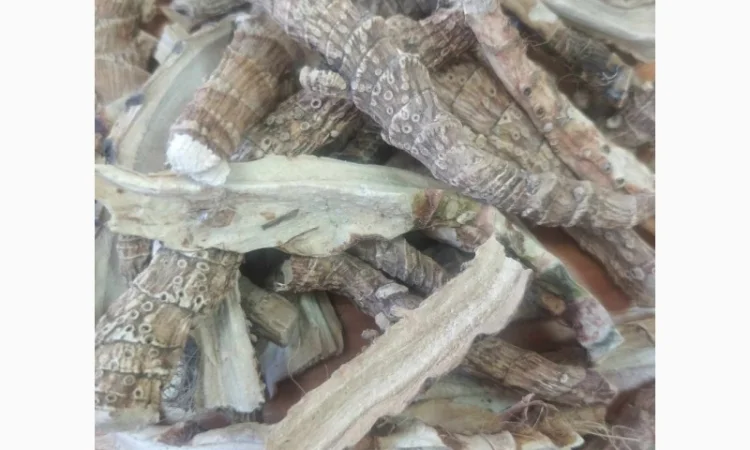 Куплю аїр - фото № 1