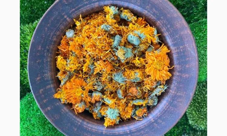 Цвіт календули, календула сушена, нагідки, цветки календулы - фото № 1